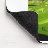 Baby Toad in Pond Muismat (Hoek)