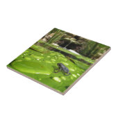 Baby Toad in Pond Tegeltje (Zijkant)