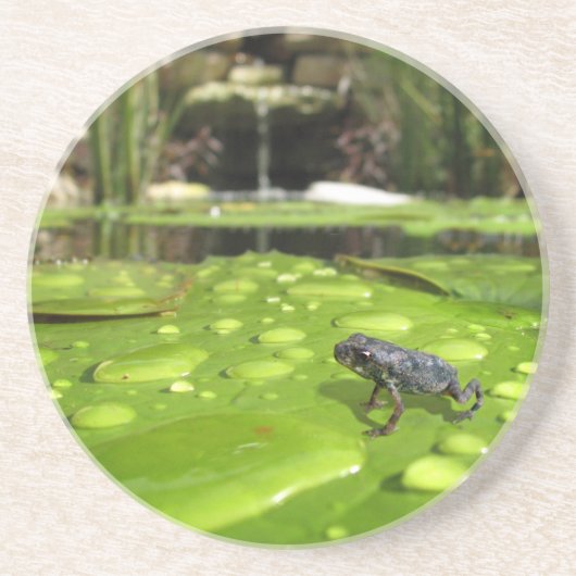 Baby Toad in Pond Zandsteen Onderzetter (Voorkant)