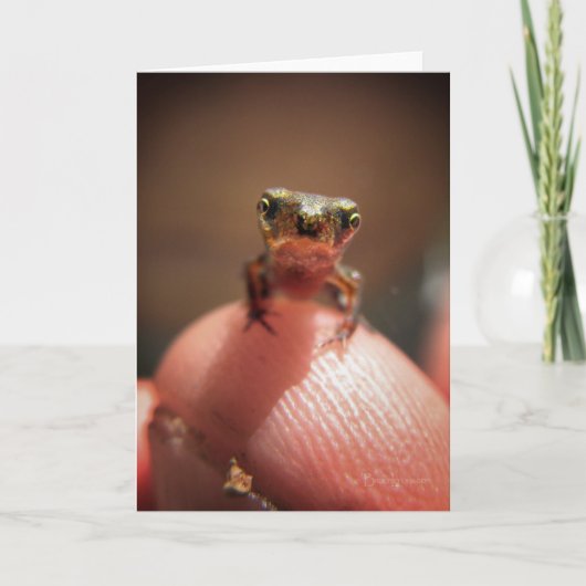 Baby Toad / Tadpole Kaart (Voorkant)