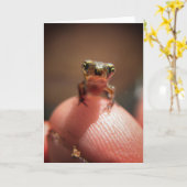 Baby Toad / Tadpole Kaart (Gele Bloem)