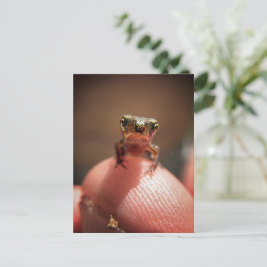 Baby Toad/Tadpool Briefkaart (Staand voorkant)