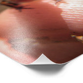 Baby Toad/Tadpool Foto Afdruk (Hoek)