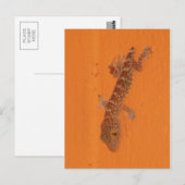 Baby Tokay Gecko Briefkaart (Voorkant / Achterkant)