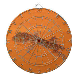 Baby Tokay Gecko Dartbord