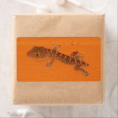Baby Tokay Gecko Etiket (Insitu)