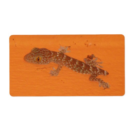 Baby Tokay Gecko Etiket (Voorkant)