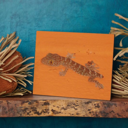 Baby Tokay Gecko Fotoplaat (Zijkant)