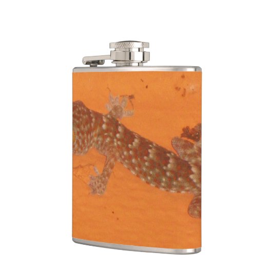 Baby Tokay Gecko Heupfles (Links)