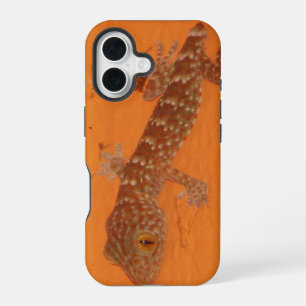 Baby Tokay Gecko iPhone 16 Hoesje