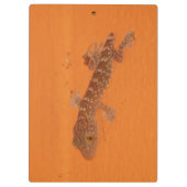 Baby Tokay Gecko Klembord (Achterkant)