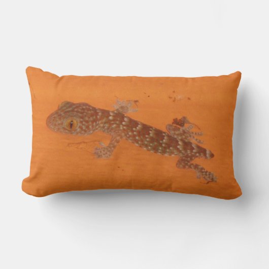 Baby Tokay Gecko Kussen (Voorkant)