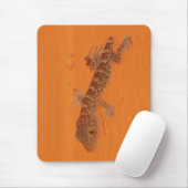 Baby Tokay Gecko Muismat (Met muis)