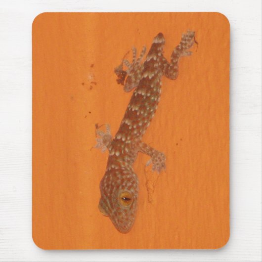 Baby Tokay Gecko Muismat (Voorkant)