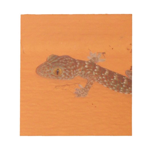 Baby Tokay Gecko Notitieblok (Voorkant)