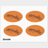 Baby Tokay Gecko Ovale Sticker (Vel)