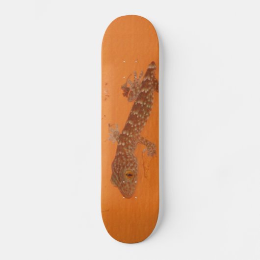 Baby Tokay Gecko Persoonlijk Skateboard (Voorkant)