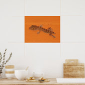 Baby Tokay Gecko Poster (Keuken)