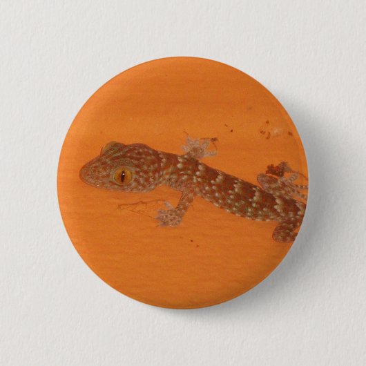 Baby Tokay Gecko Ronde Button 5,7 Cm (Voorkant)