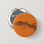Baby Tokay Gecko Ronde Button 5,7 Cm (Voorkant /achterkant)