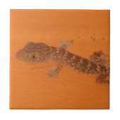 Baby Tokay Gecko Tegeltje (Voorkant)