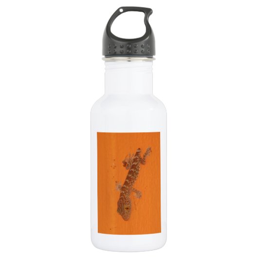 Baby Tokay Gecko Waterfles (Voorkant)