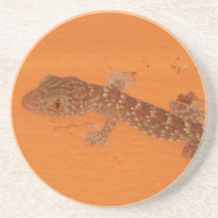 Baby Tokay Gecko Zandsteen Onderzetter