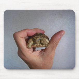 Baby Tortoise Mousepad Muismat