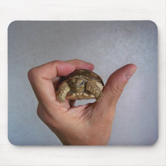Baby Tortoise Mousepad Muismat (Voorkant)