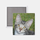 Baby-Triniteit Magneet (Voorkant / Achterkant)