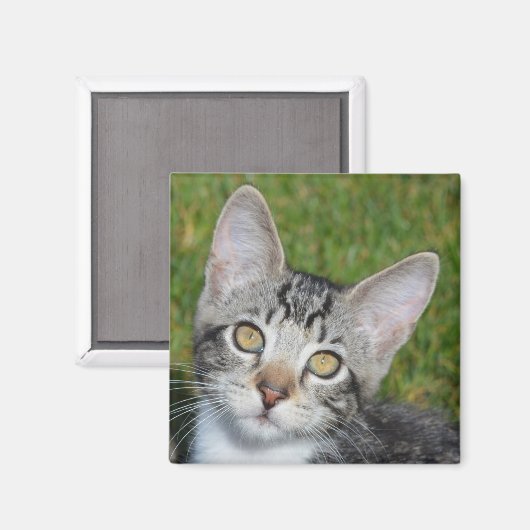 Baby-Triniteit Magneet (Voorkant / Achterkant)