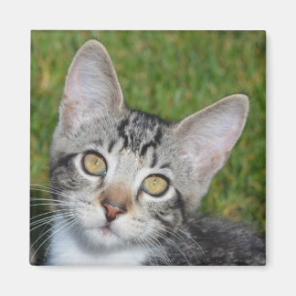 Baby-Triniteit Magneet