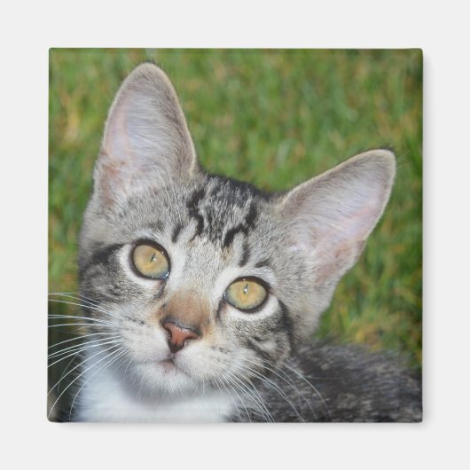 Baby-Triniteit Magneet (Voorkant)