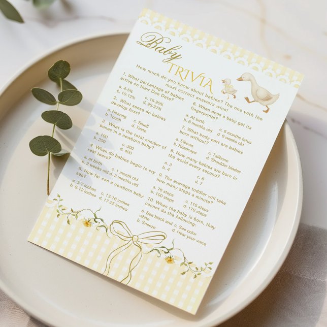 Baby Trivia Dwaas Gingham Baby shower spel (Creator heeft geüpload)