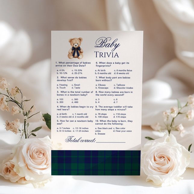 Baby Trivia Preppy Teddy Bear Navy Plaid game (Creator heeft geüpload)