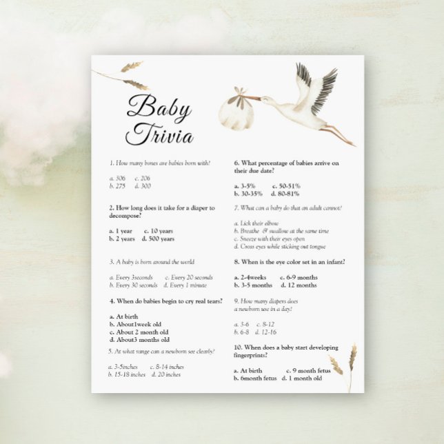 Baby Trivia - Stork Baby shower Game (Creator heeft geüpload)