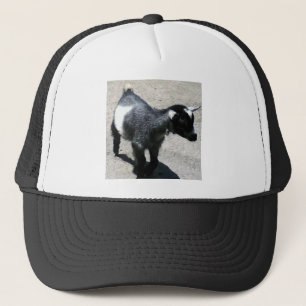 Baby Trucker Pet