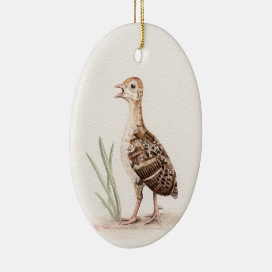 Baby Turkey Ornament (Rechts)