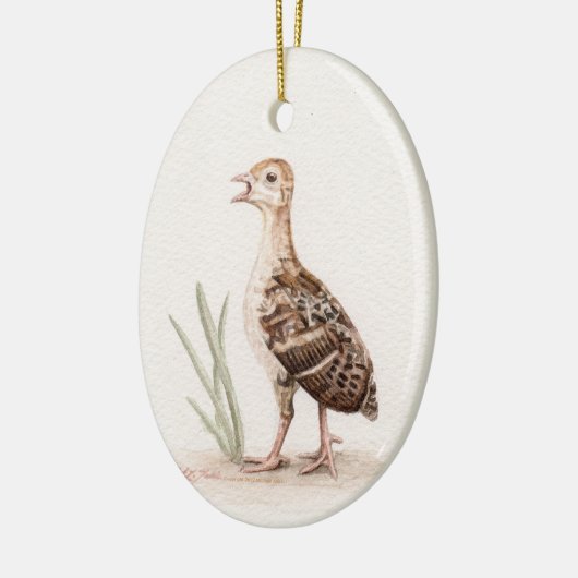 Baby Turkey Ornament (Links)