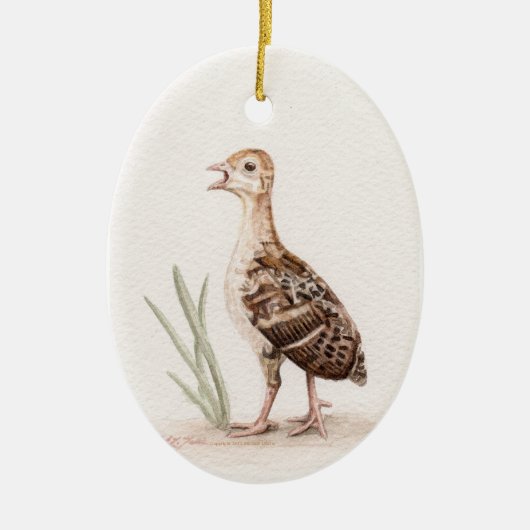 Baby Turkey Ornament (Voorkant)