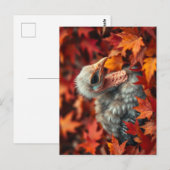 Baby Turkije in het najaar Briefkaart (Voorkant / Achterkant)