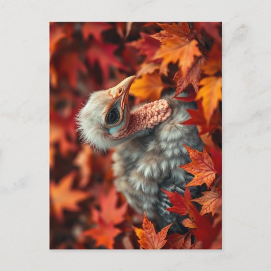 Baby Turkije in het najaar Briefkaart (Voorkant)