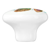 Baby Turtle Beach nautische lade knoppen (Zijkant)