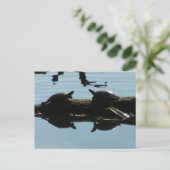 Baby Turtle Friends Briefkaart (Staand voorkant)