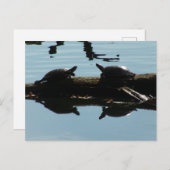 Baby Turtle Friends Briefkaart (Voorkant / Achterkant)