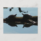 Baby Turtle Friends Briefkaart (Voorkant)