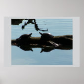 Baby Turtle Friends Poster (Voorkant)