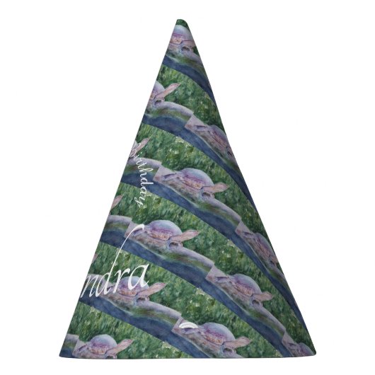 Baby Turtle Happy Birthday Feesthoedjes (Rechts)