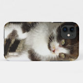 Baby Tuxedo Kitten - Cat iPhone 5 Hoesje (Achterkant (horizontaal))