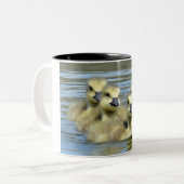 Baby Tweekleurige Koffiemok (Voorkant links)